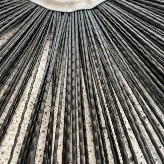 Re-generated brush ring